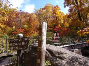 sack-30lのアイキャッチ：妙高山の登山道