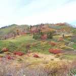 初心者向け秋の登山に適した服装完全ガイドとおすすめアイテム紹介！