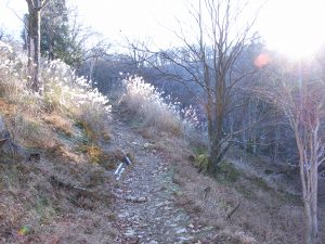 winter-clothesのアイキャッチ：初頭の台高・薊岳登山道