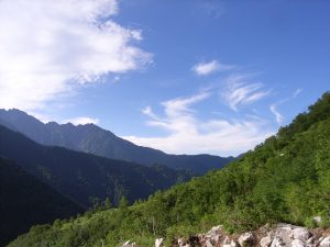 socks-summerのアイキャッチ：新保高温泉登山口から鏡平へ向かう途中の風景